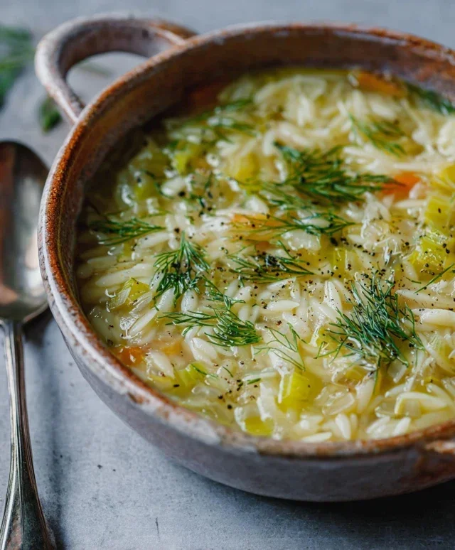 Orzo Leek and Dill Soup