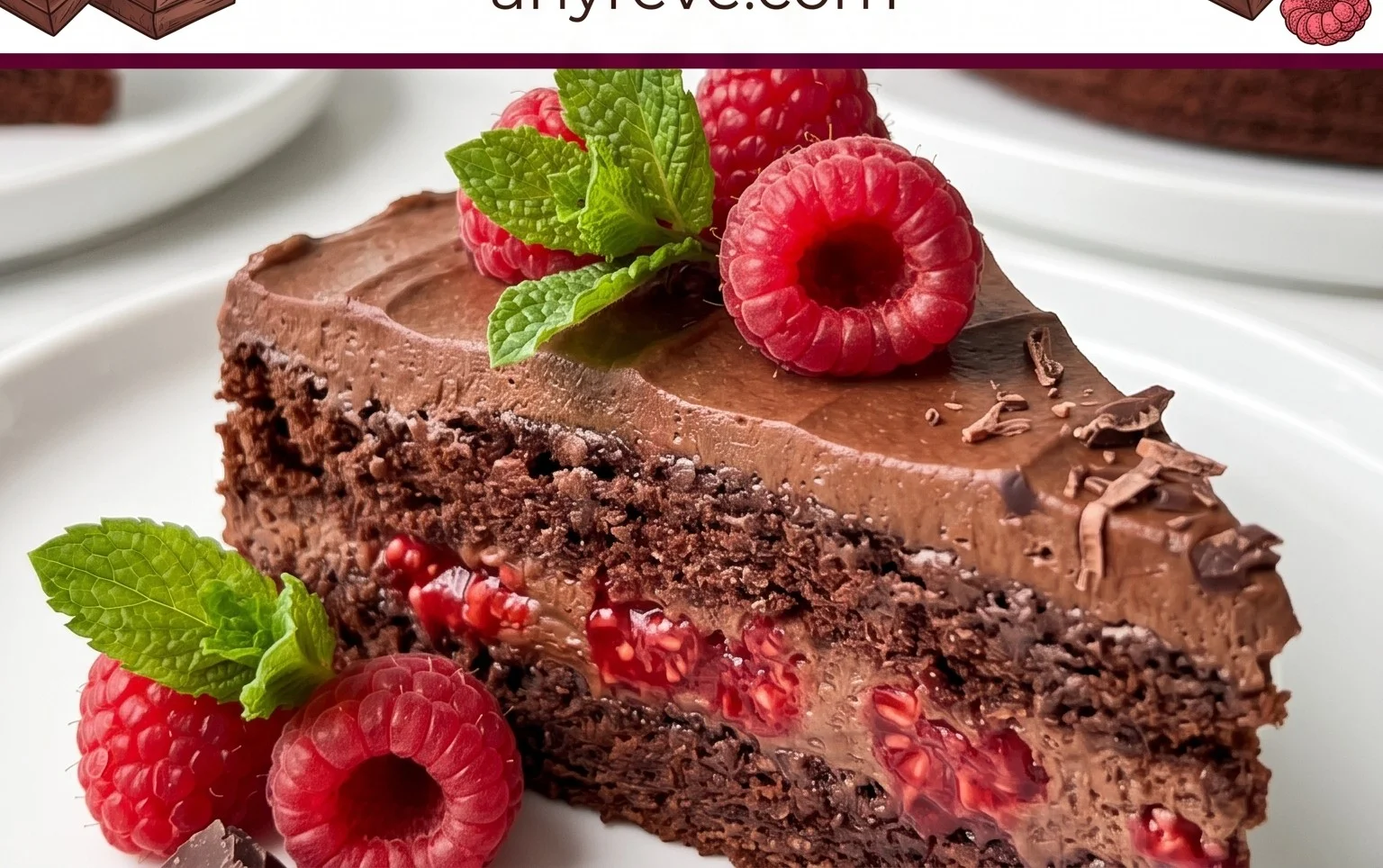 Chocolate Raspberry Cake